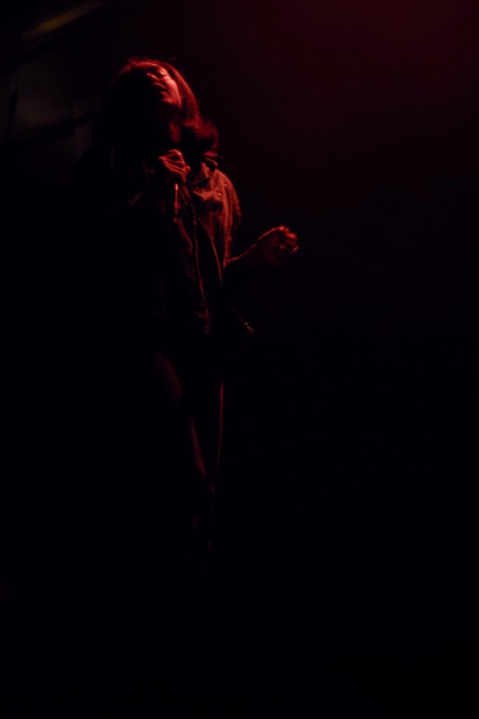 Photographie numérique, portrait de la chanteuse-rappeuse de Bumble Bzz, concert au flow lille, mars 2019, Lille, France.