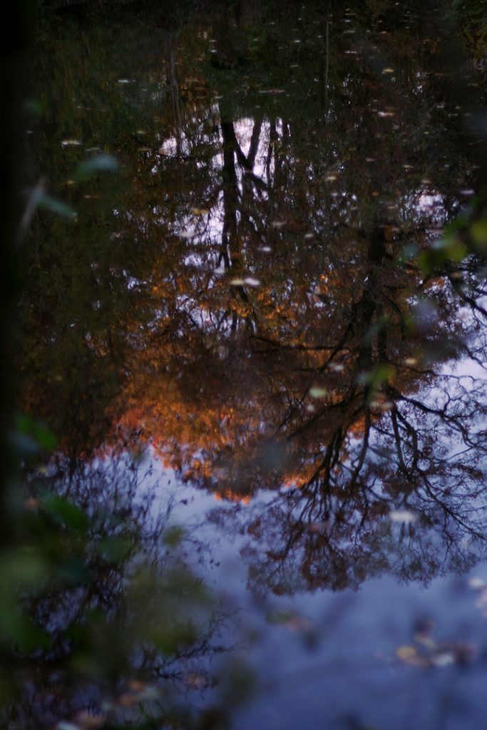 Photographie numérique, reflets d'automne, citadelle, novembre 2019, Lille, France.